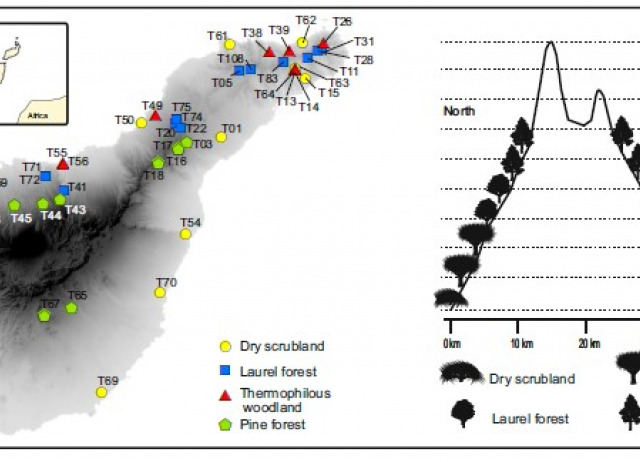 Community assembly and metaphylogeography of soil biodiversity: Insights from haplotype-level community DNA metabarcoding within an oceanic island
