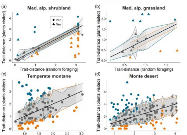 Flexible diets enable pollinators to cope with changes in plant community composition