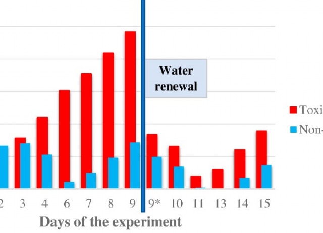 Metabolic Hepatic Disorders Caused by Ciguatoxins in Goldfish (Carassius auratus)