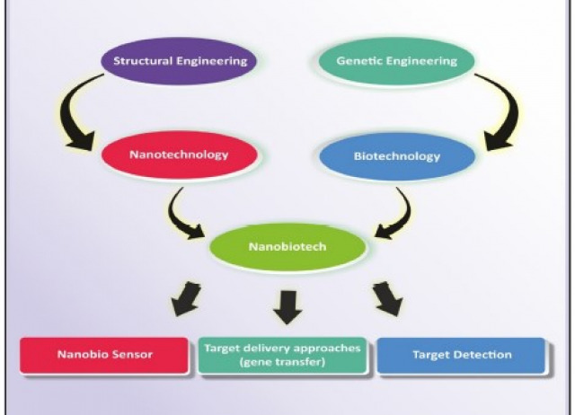 Nano-biotechnology in tumour and cancerous disease: A perspective review