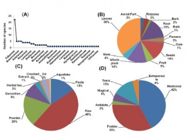 Quantitative ethnoveterinary study on plant resource utilization by indigenous communities in high-altitude regions