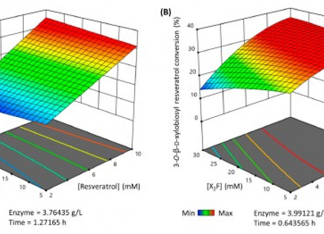 Synthesis and Characterization of a Novel Resveratrol Xylobioside Obtained Using a Mutagenic Variant of a GH10 Endoxylanase
