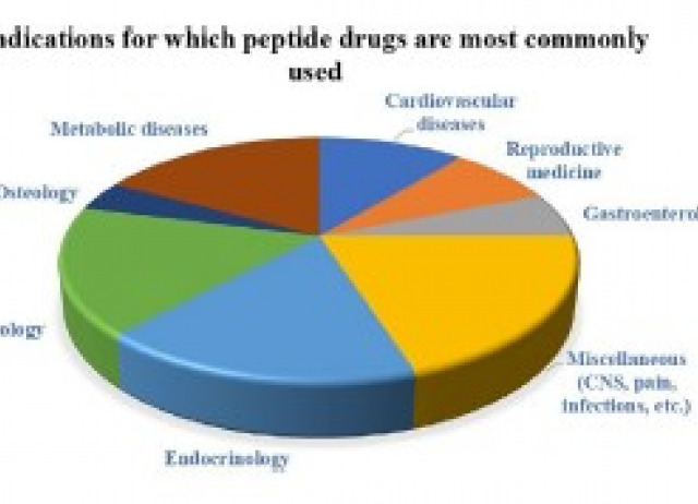 Translational aspect in peptide drug discovery and development: An emerging therapeutic candidate