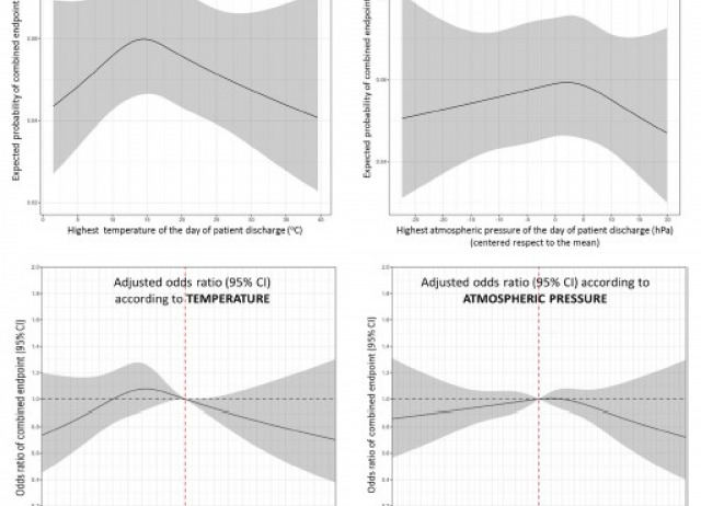 Ambient temperature and atmospheric pressure at discharge as precipitating factors in immediate adverse events in patients treated for decompensated heart failure
