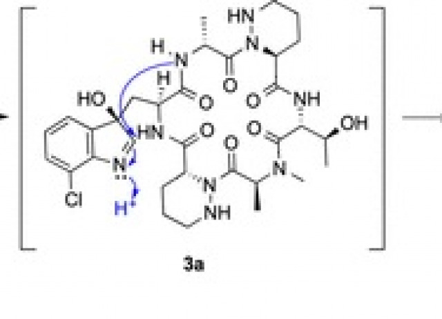 Chemical Stability of Petrichorins