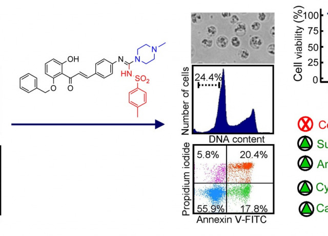 Guanidine derivatives containing the chalcone skeleton are potent antiproliferative compounds against human leukemia cells