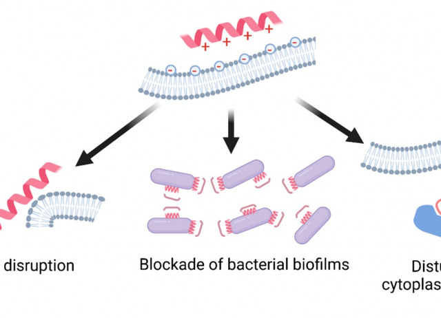 Host-Defense Peptides as New Generation Phytosanitaries: Low Toxicity and Low Induction of Antimicrobial Resistance