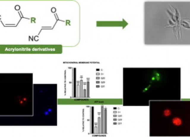 In vitro activity and cell death mechanism induced by acrylonitrile derivatives against Leishmania amazonensis