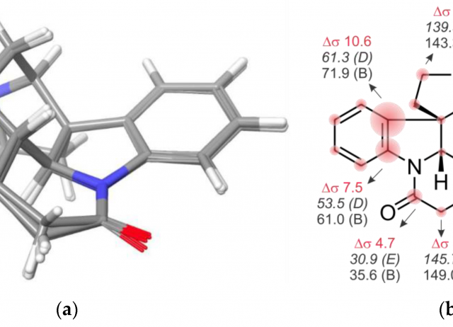 May the Force (Field) Be with You: On the Importance of Conformational Searches in the Prediction of NMR Chemical Shifts