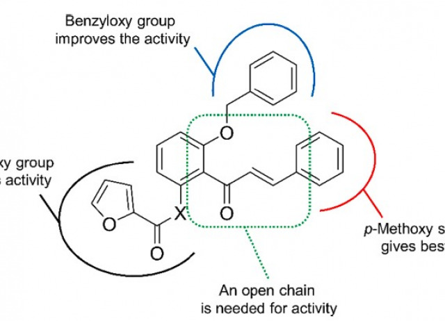 Structure-activity relationships reveal a 2-furoyloxychalcone as a potent cytotoxic and apoptosis inducer for human U-937 and HL-60 leukaemia cells