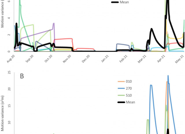 Spatial ecology to strengthen invasive snake management on islands