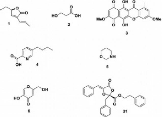 Endophytic fungi as novel sources of biopesticides: the Macaronesian Laurel forest, a case study