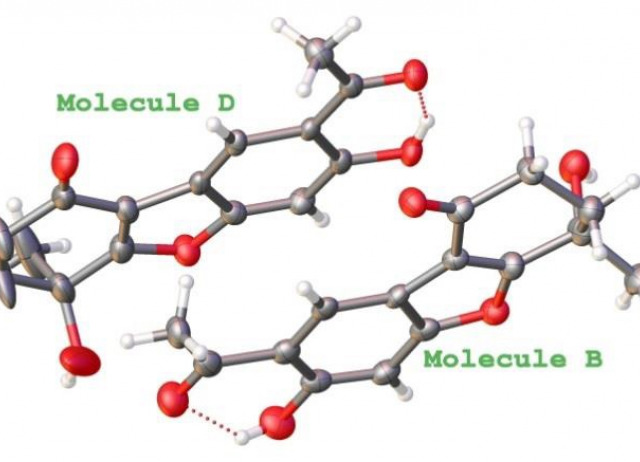 Insect Antifeedant Benzofurans from Pericallis Species