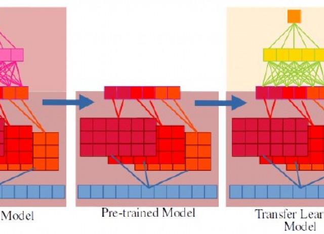 Prediction of Antifungal Activity of Antimicrobial Peptides by Transfer Learning from Protein Pretrained Models