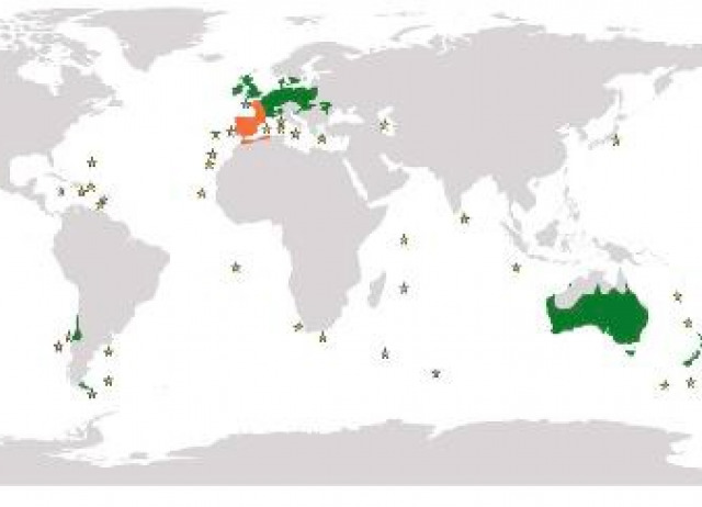 El conejo europeo y su impacto en la dispersión de semillas de las plantas nativas de Canarias