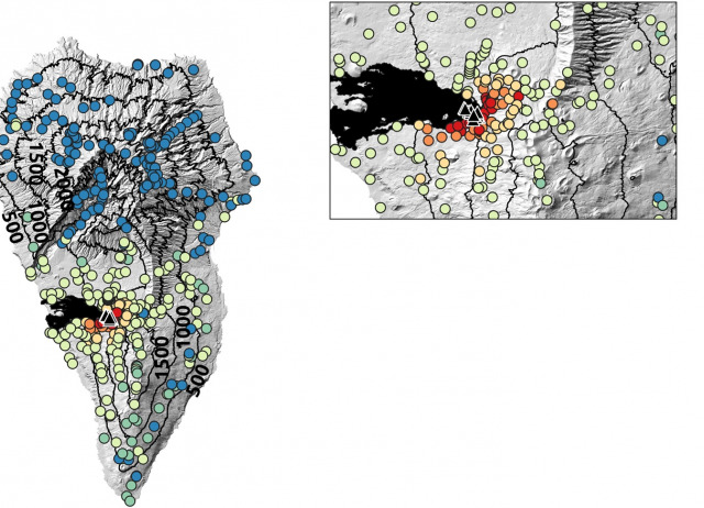 Volcanic ash deposition as a selection mechanism towards woodiness