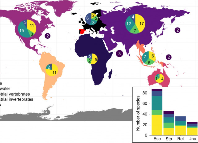 Identification of potential invasive alien species in Spain through horizon scanning