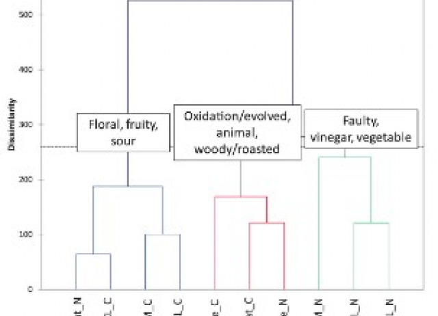 Natural versus conventional production of Spanish white wines: an exploratory study
