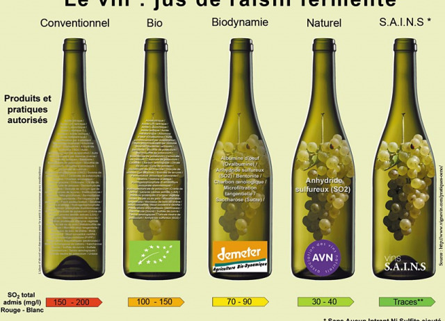 The natural wine phenomenon and the promise of sustainability: Institutionalization or radicalization?