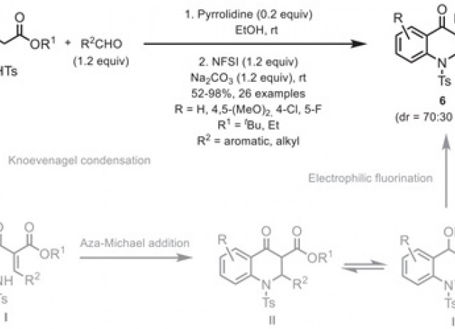 Diastereoselective Halogenation Reactions