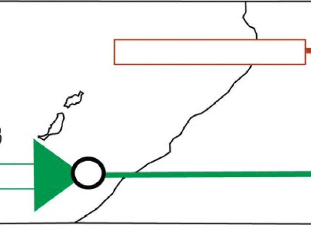 Time-calibrated phylogenies reveal mediterranean and pre-mediterranean origin of the thermophilous vegetation of the Canary Islands