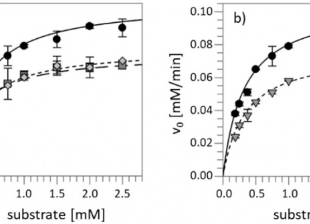 Ligand-Directed Chemistry on Glycoside Hydrolases – A Proof of Concept Study