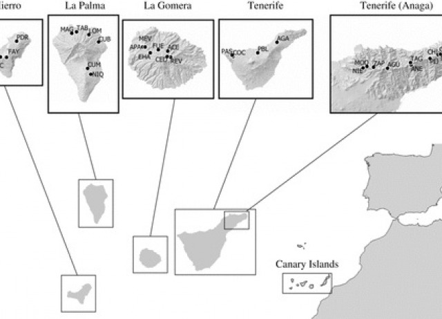 Dispersal ability and niche breadth influence interspecific variation in spider abundance and occupancy