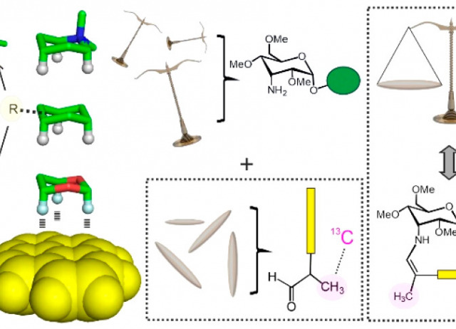 Illuminating a Solvent-Dependent Hierarchy for Aromatic CH/π Complexes with Dynamic Covalent Glyco-Balances