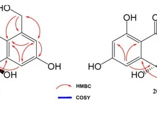 Induction of New Aromatic Polyketides from the Marine Actinobacterium Streptomyces griseorubiginosus through an OSMAC Approach