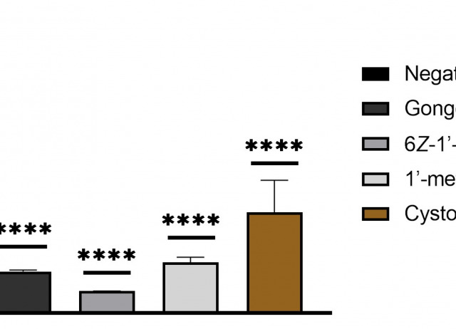 Marine Meroterpenoids Isolated from Gongolaria abies-marina Induce Programmed Cell Death in Naegleria fowleri