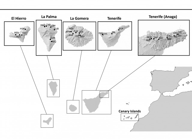 Towards understanding insect species introduction and establishment: A community-level barcoding approach using island beetles