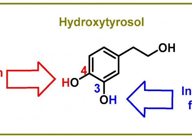 Hydroxytyrosol and Arginine as Antioxidant, Anti-Inflammatory and Immunostimulant Dietary Supplements for COVID-19 and Long COVID