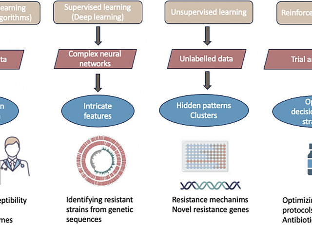 From Data to Decisions: Leveraging Artificial Intelligence and Machine Learning in Combating Antimicrobial Resistance – a Comprehensive Review
