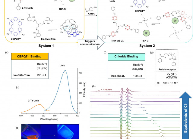 Kinetic Control of Complexity in Multiple Dynamic Libraries