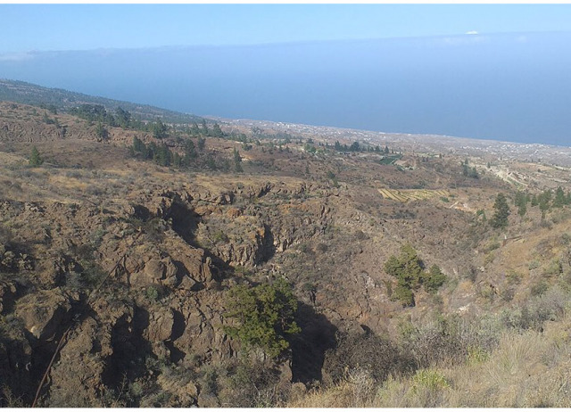 Pets and Pests? Framing Human–Cat Moral Ecologies in the Canary Islands, Spain