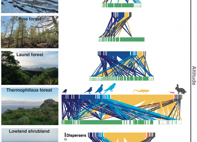 Climb forest, climb: diverse disperser communities are key to assist plants tracking climate change on altitudinal gradients