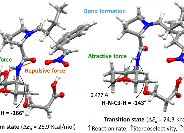 Disclosing the Intra-Catalyst Non-Covalent Interactions in Tetrahydropyran-Based Dipeptidic Catalysts