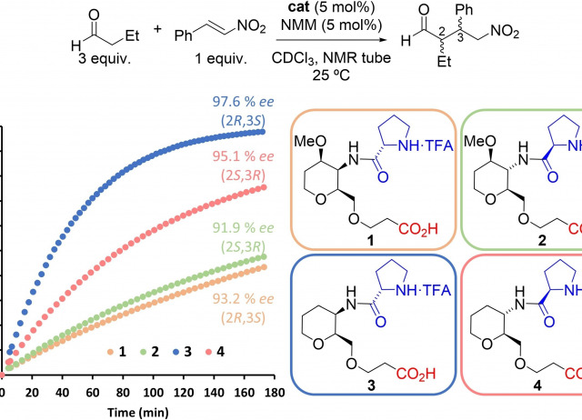 Disclosing the Intra-Catalyst Non-Covalent Interactions in Tetrahydropyran-Based Dipeptidic Catalysts