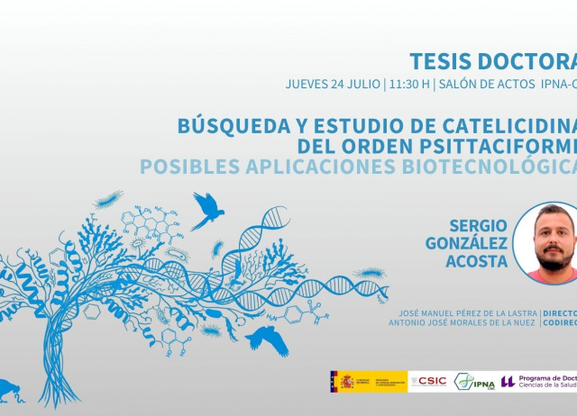 Tesis Sergi González