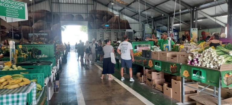 Mercadillo agricultor Tenerife