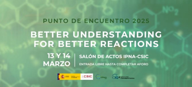 Punto de encuentro 2025