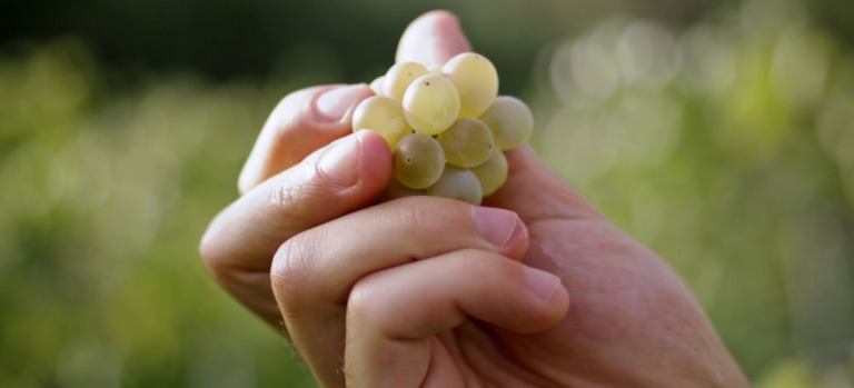 Fotograma vídeo NAWICERT