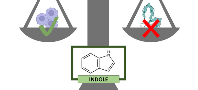 Trypanosoma cruzi with indoles
